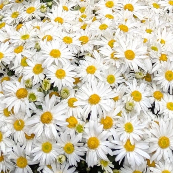 About Me - Picture 1 of 1